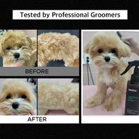 RENADOG Volumizing Mist 櫻花蓬鬆噴霧 240ml