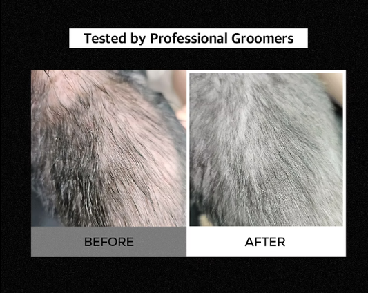 RENADOG Balancing Shampoo 平衡保濕香波洗髮露 300ml