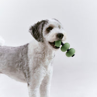 Roika 串燒益智藏食玩具 Dango Toy Olive Green