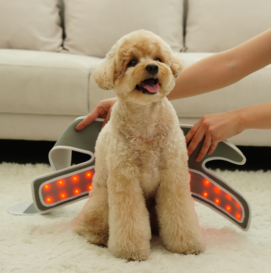 Cirius Pet LLLT Warm Cape Pro 無線紅外線髖關節保養毯 加長款