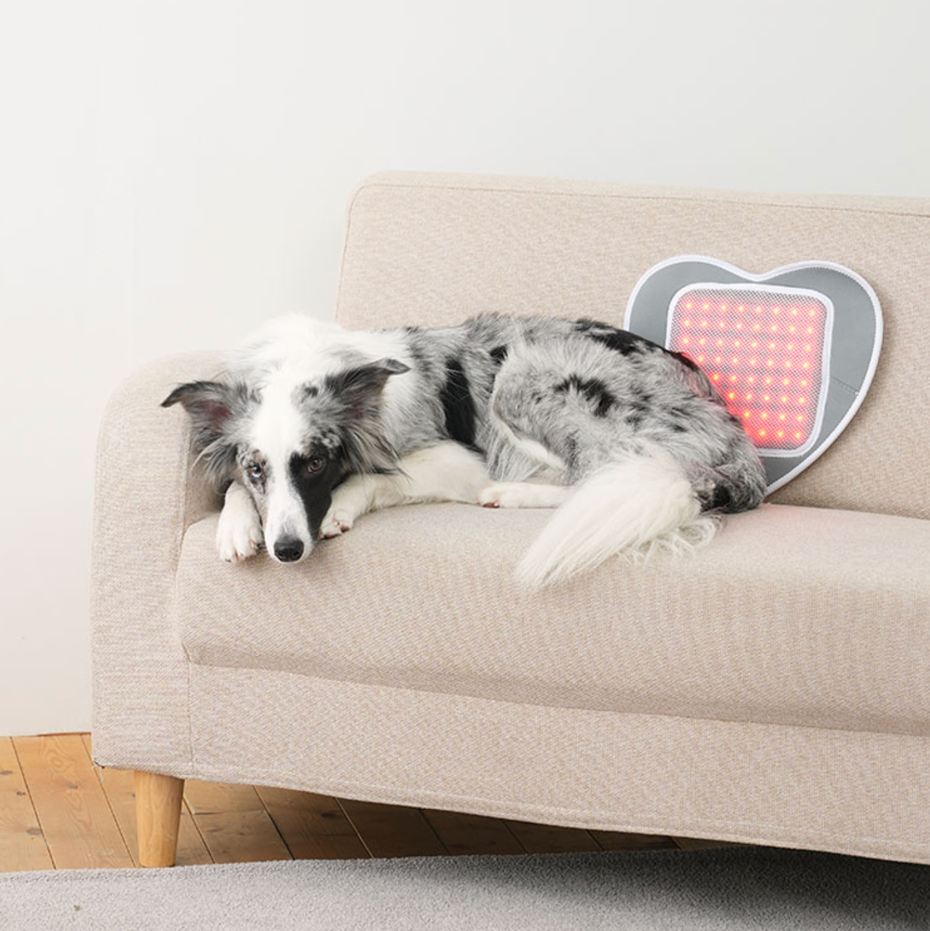 Cirius Pet Warm Pad 無線紅外線髖關節保養毯 心形款