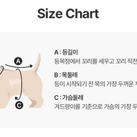 BaileyPet Teddy 寵物救生衣 Lifejacket Ivory