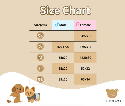 TeddyLand 寵物一次性禮貌褲 Pet Diaper