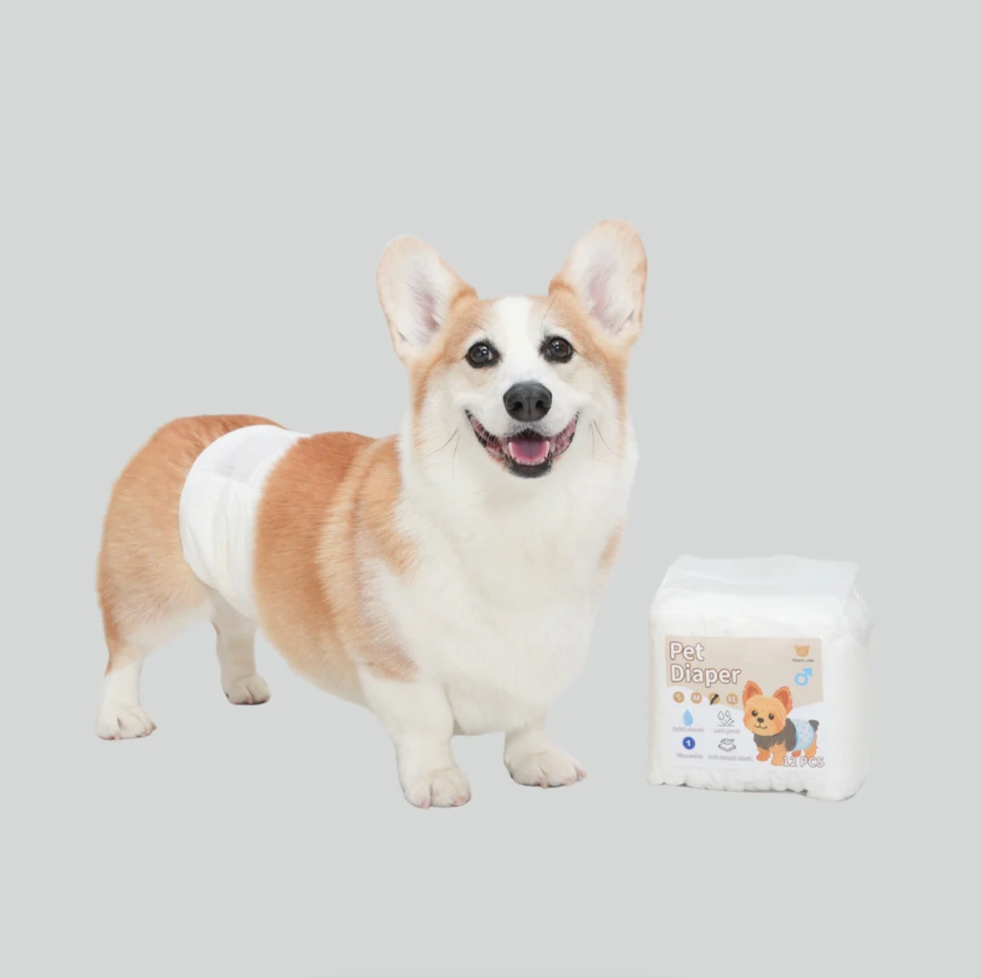 TeddyLand 寵物一次性禮貌褲 Pet Diaper