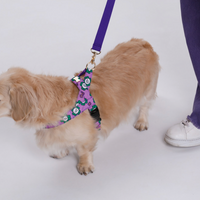 NORADOG 拼色手牽繩 1.7m Hand Leash