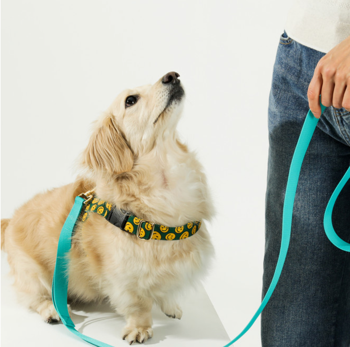 NORADOG 多用途牽繩 3m Long Leash