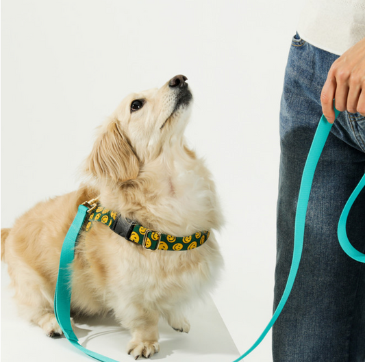 NORADOG 多用途牽繩 3m Long Leash