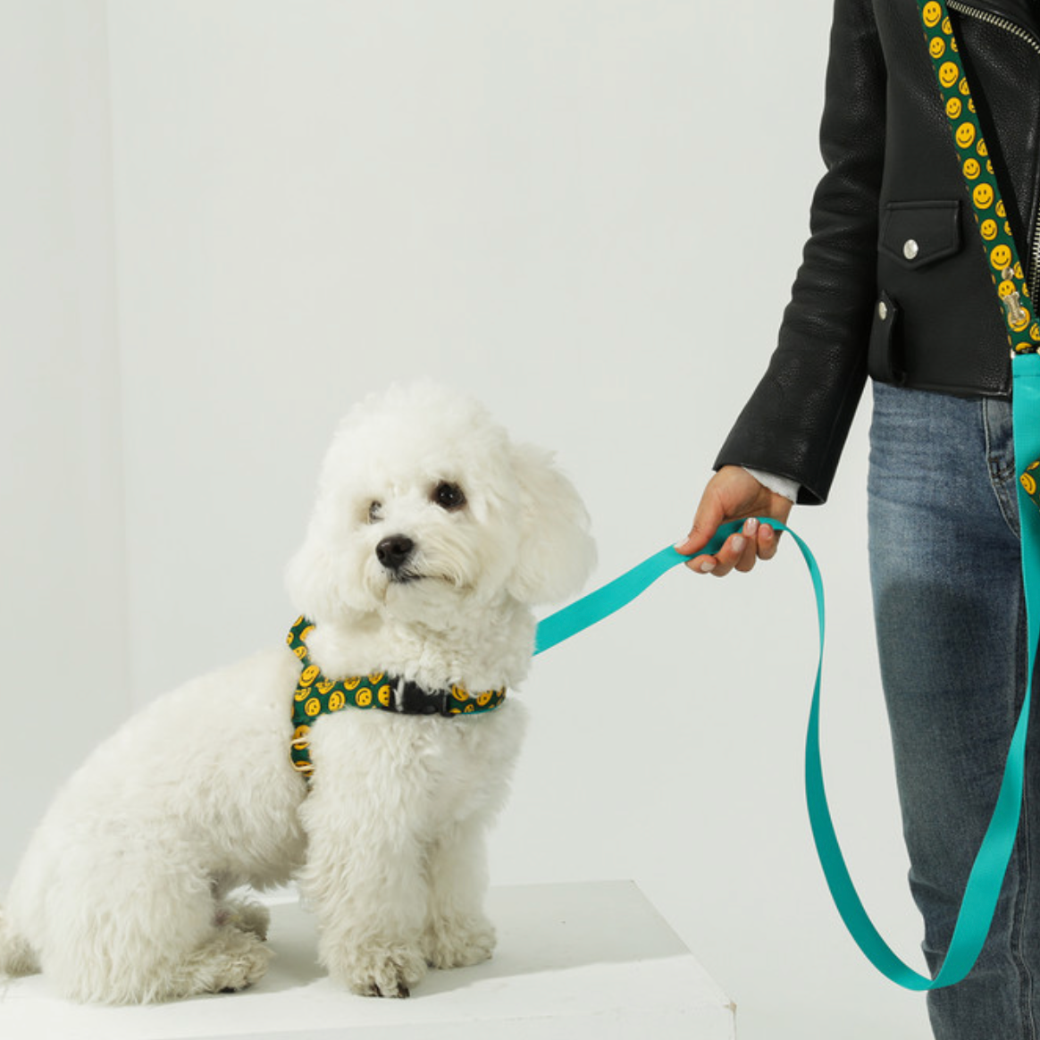 NORADOG 多用途牽繩 2m Long Leash