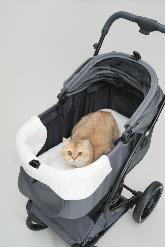TeddyLand Ultimate cool stroller cushion & edge 極涼感車墊 車圍邊