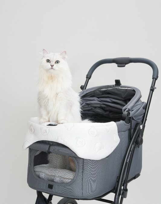 TeddyLand Ultimate cool stroller cushion & edge 極涼感車墊 車圍邊