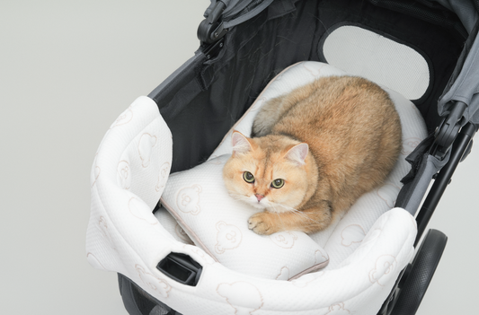 TeddyLand Ultimate cool stroller cushion & edge 極涼感車墊 車圍邊