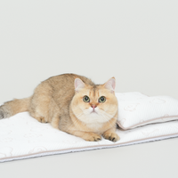 TeddyLand Ultimate cool mattress with pillow 極涼感床墊組合