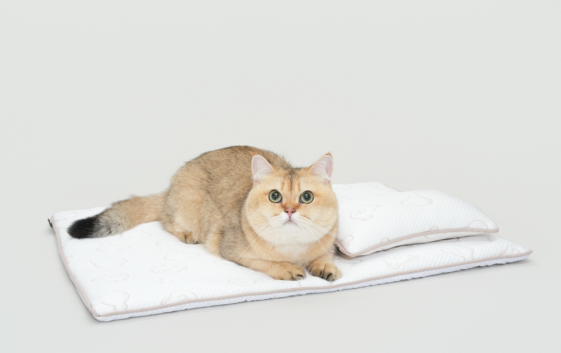 TeddyLand Ultimate cool mattress with pillow 極涼感床墊組合