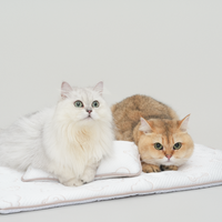TeddyLand Ultimate cool mattress with pillow 極涼感床墊組合