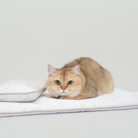 TeddyLand Ultimate cool mattress with pillow 極涼感床墊組合