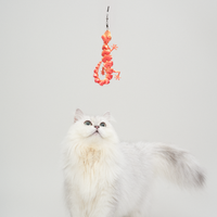 TeddyLand 泰國蜥蜴逗貓棒 lizard cat toy