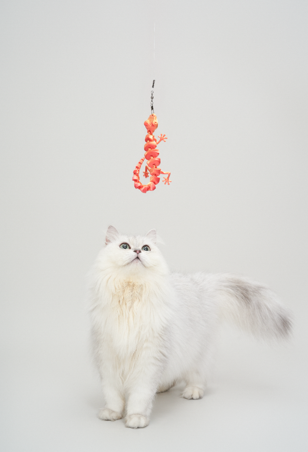 TeddyLand 泰國蜥蜴逗貓棒 lizard cat toy