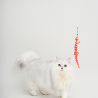 TeddyLand 泰國蜥蜴逗貓棒 lizard cat toy