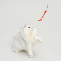 TeddyLand 泰國蜥蜴逗貓棒 lizard cat toy