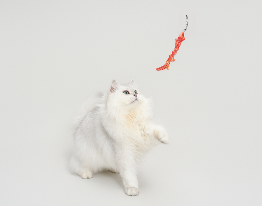 TeddyLand 泰國蜥蜴逗貓棒 lizard cat toy