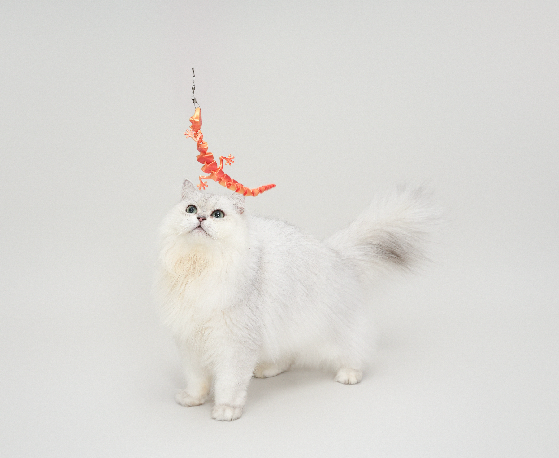 TeddyLand 泰國蜥蜴逗貓棒 lizard cat toy