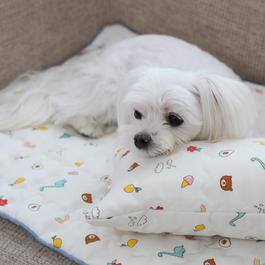 Ritogato 寵物防跣涼感墊 Non-slip Cool Mat