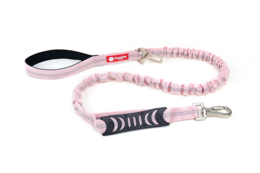 Gurmi 安全緩衝狗帶 Safety Shock-Absorbing Dog Lead