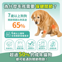 毛孩時代 強效關節保健粉 Joint Care (30包/盒)