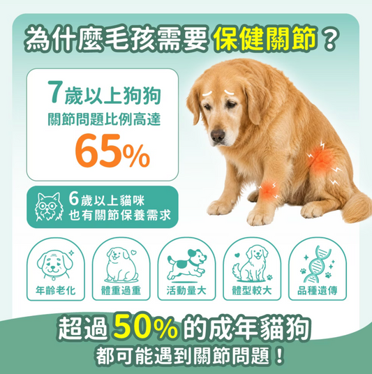 毛孩時代 強效關節保健粉 Joint Care (30包/盒)