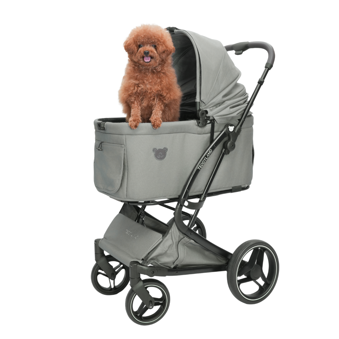 TeddyLand Grande 寵物手推車 Forest 森林綠