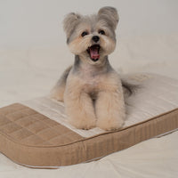 Ritogato Honeybuney Pet Cart Cushion 小熊格仔款寵物推車車墊 - 啡色