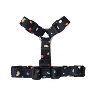 IMSUSU 波點H型胸背帶 Terazzo H Harness