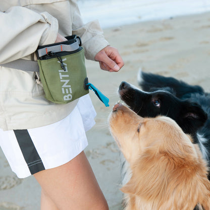 Bentla Hire Treat Bag 便利零食袋