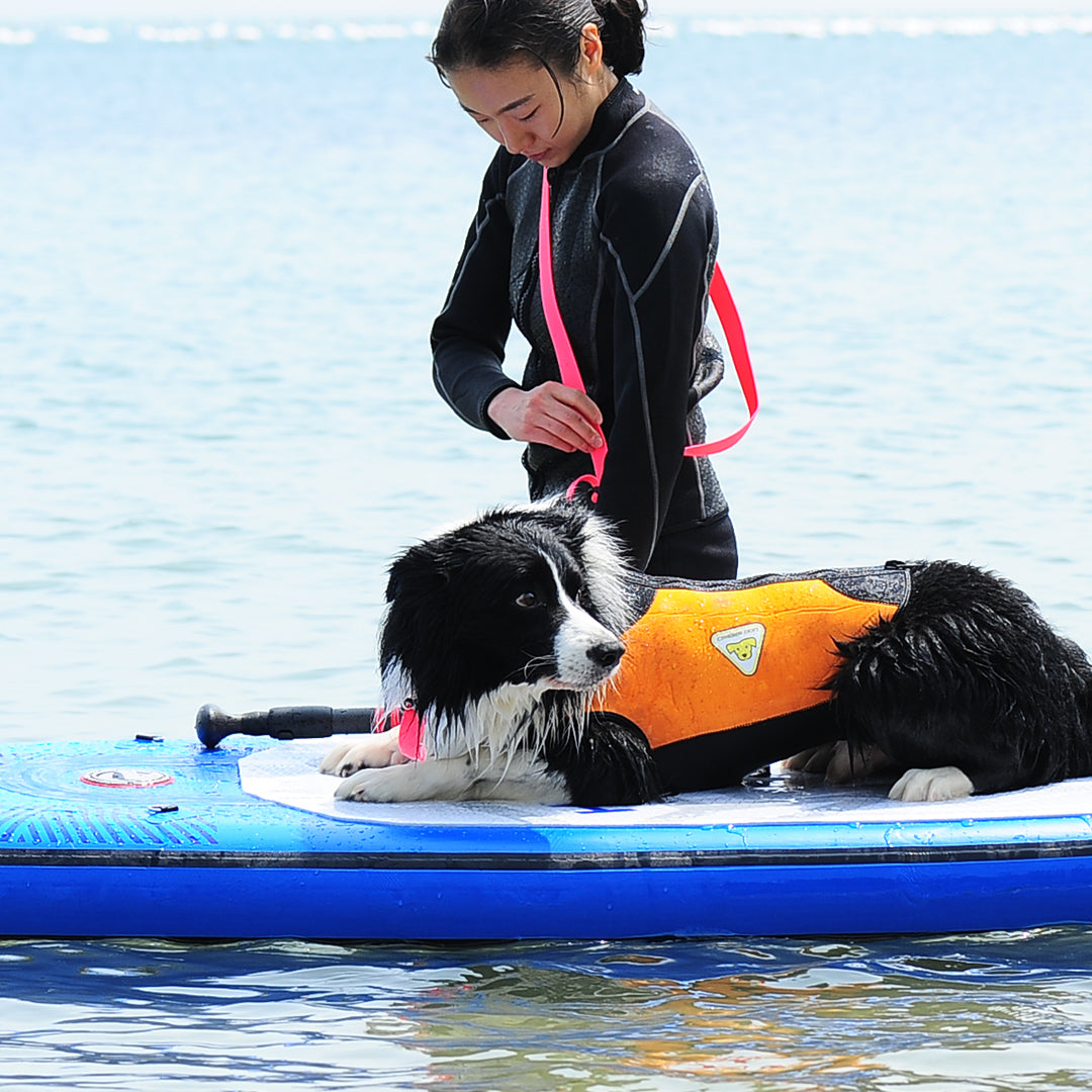 Bentla Aqua Long Leash 2.7M 防水長牽繩