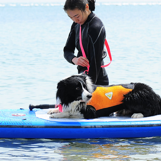 Bentla Aqua Long Leash 2.7M 防水長牽繩