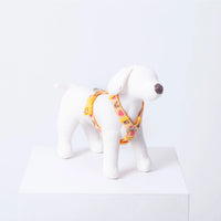 IMSUSU 心心熊仔H型胸背帶 Heart Bear H Harness