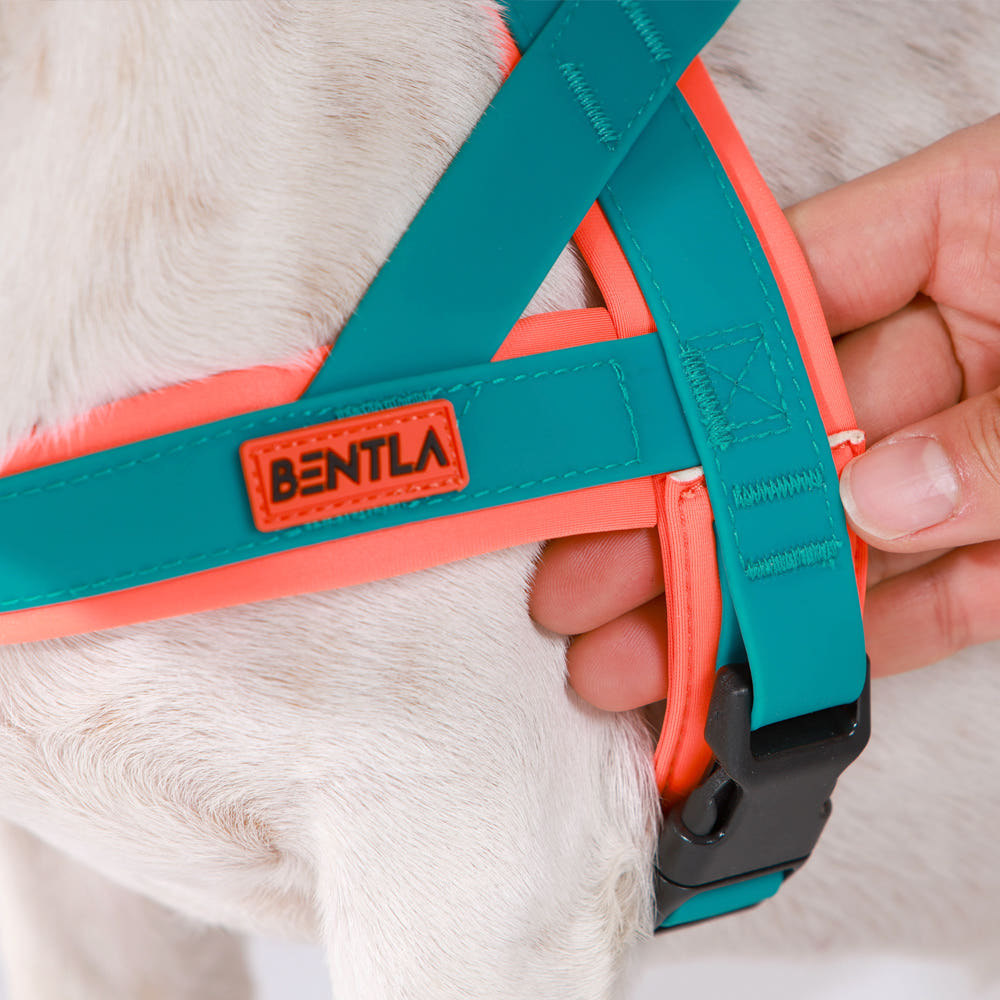 Bentla 三項全能防水胸背帶 Aqua Tri Harness