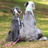 Bentla Aqua Twin Leash 防水雙繩狗帶