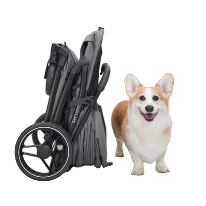 TeddyLand Grande 寵物手推車 Pearl 珍珠白