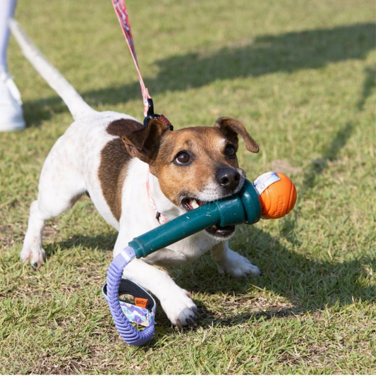 Bentla 麥克風拉扯玩具 Microphone Rope Toy