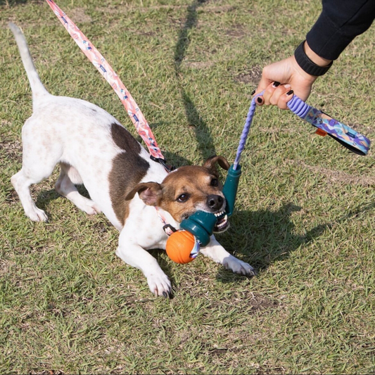 Bentla 麥克風拉扯玩具 Microphone Rope Toy