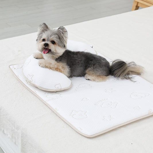 【新品預購】Ritogato Duralon Antibacterial Cooling non-slip mat 抗菌涼感防滑涼墊