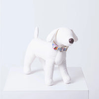 IMSUSU 車厘子頸圈 Malrang Collar