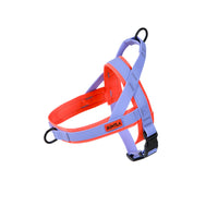 Bentla 三項全能防水胸背帶 Aqua Tri Harness