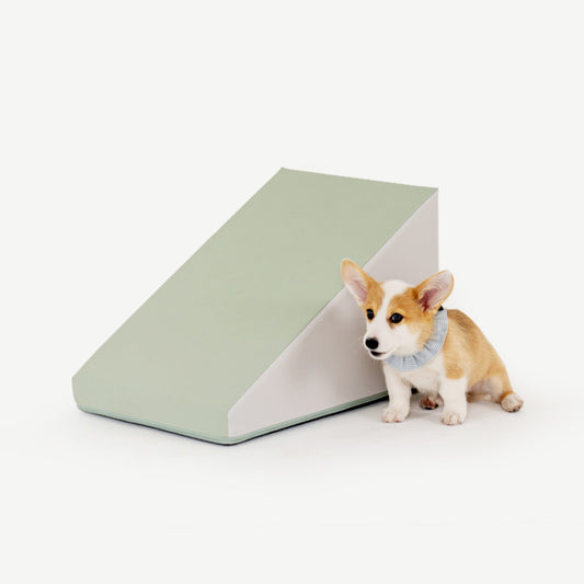 【預訂】Pupping 寵物防滑斜坡 Non-slip Pet Slide