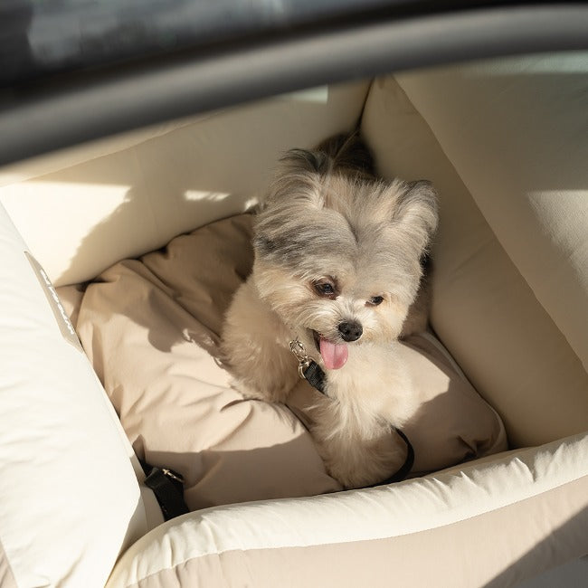 【預訂商品】Ritogato New Smart Car Seat Version 3 寵物汽車安全座椅 杏色