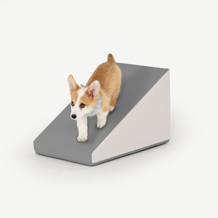 【預訂】Pupping 寵物防滑斜坡 Non-slip Pet Slide