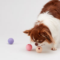 AHAHLAND 漏食波波乳膠玩具