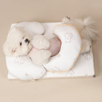 Ritogato Aircoil Forpe with Pillow 氣墊極涼感床連枕頭