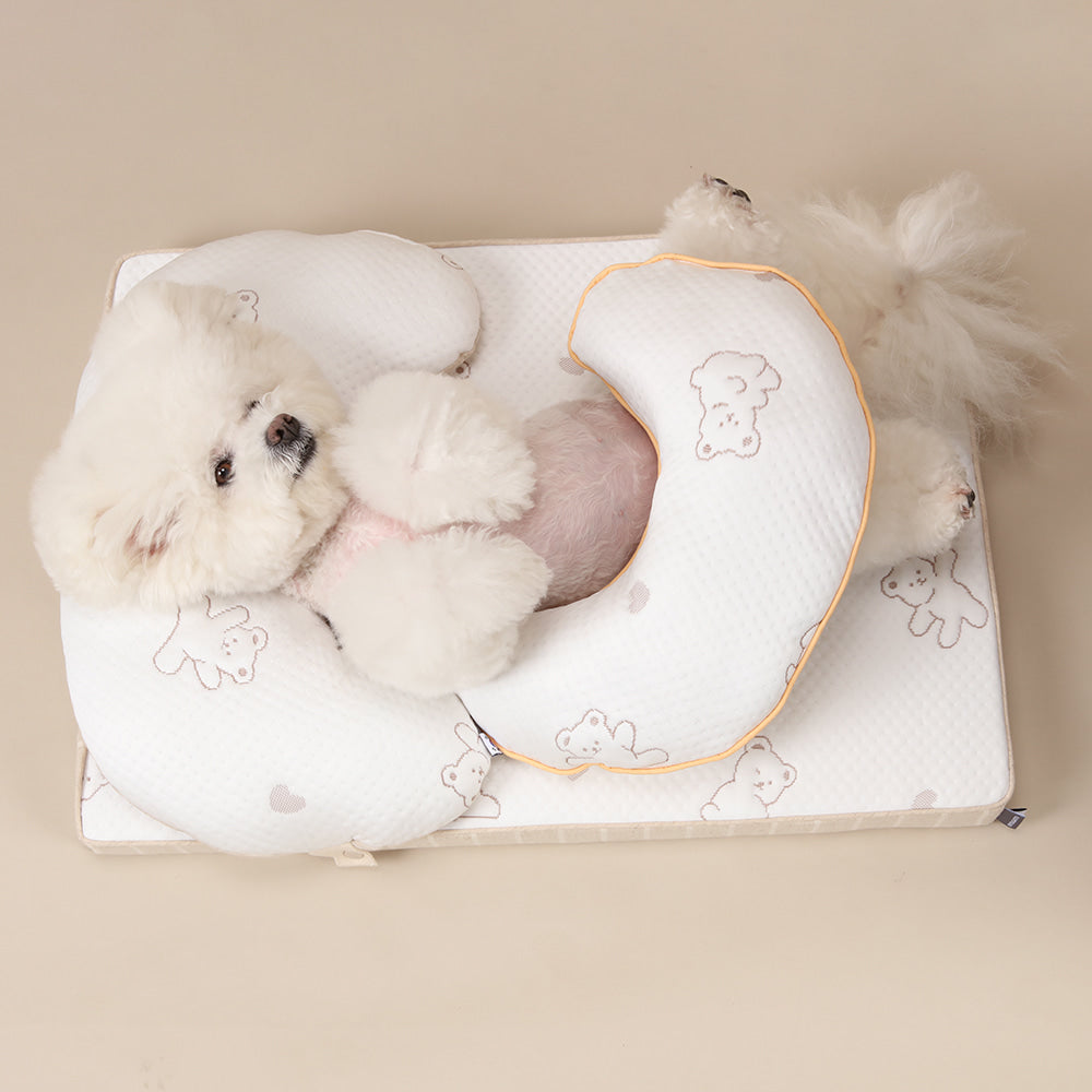 Ritogato Aircoil Forpe 氣墊極涼感床連枕頭 with Pillow